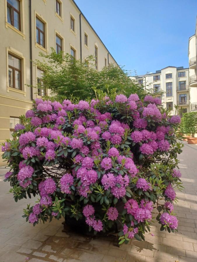 Apartament Piotrkowska 37 Studio Łódź Exteriör bild